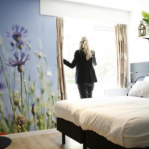 Deluxe Studio met een King Size Bed